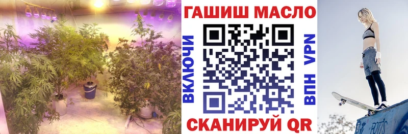 Дистиллят ТГК Wax  Купить закладки  Можга 
