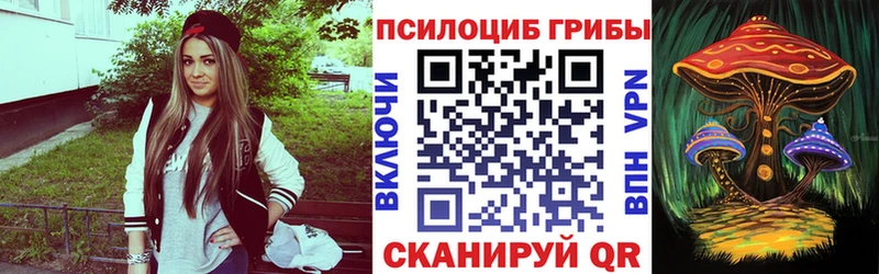 Галлюциногенные грибы Psilocybe  Купить  Можга 